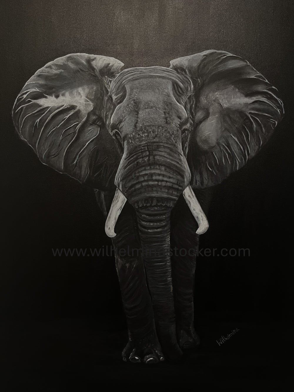 "Grace" - Elephant