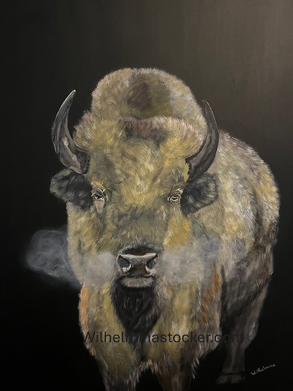 Fruition - White Bison