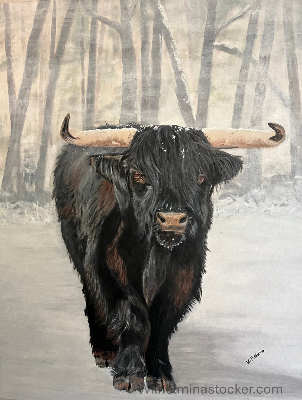 Bull Steady - Print