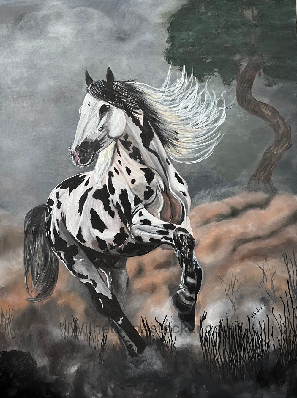 Splendor - Print Limited Edition
